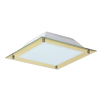 Rabalux - LED Stropní svítidlo LARS 1xLED/12W/230V