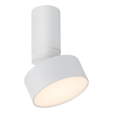 Rabalux - LED Stropní svítidlo LED/10W/230V 3000K bílá