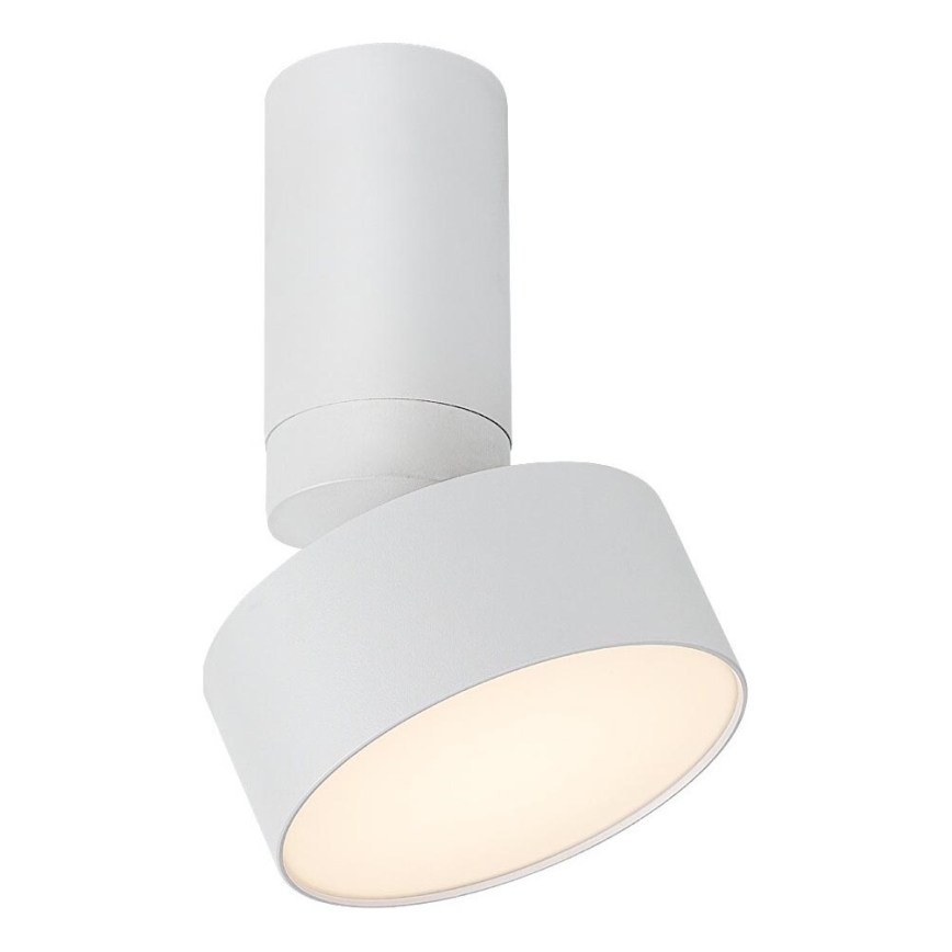 Rabalux - LED Stropní svítidlo LED/10W/230V 3000K bílá