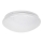 Rabalux - LED Stropní svítidlo LED/12W/230V pr. 26 cm