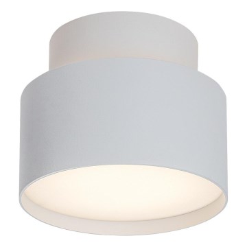 Rabalux - LED Stropní svítidlo LED/16W/230V 3000K bílá