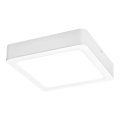 Rabalux - LED Stropní svítidlo LED/18W/230V 17x17 cm