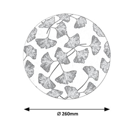 Rabalux - LED Stropní svítidlo LED/18W/230V 3000K pr. 26 cm