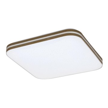 Rabalux - LED Stropní svítidlo LED/18W/230V 35x35 cm