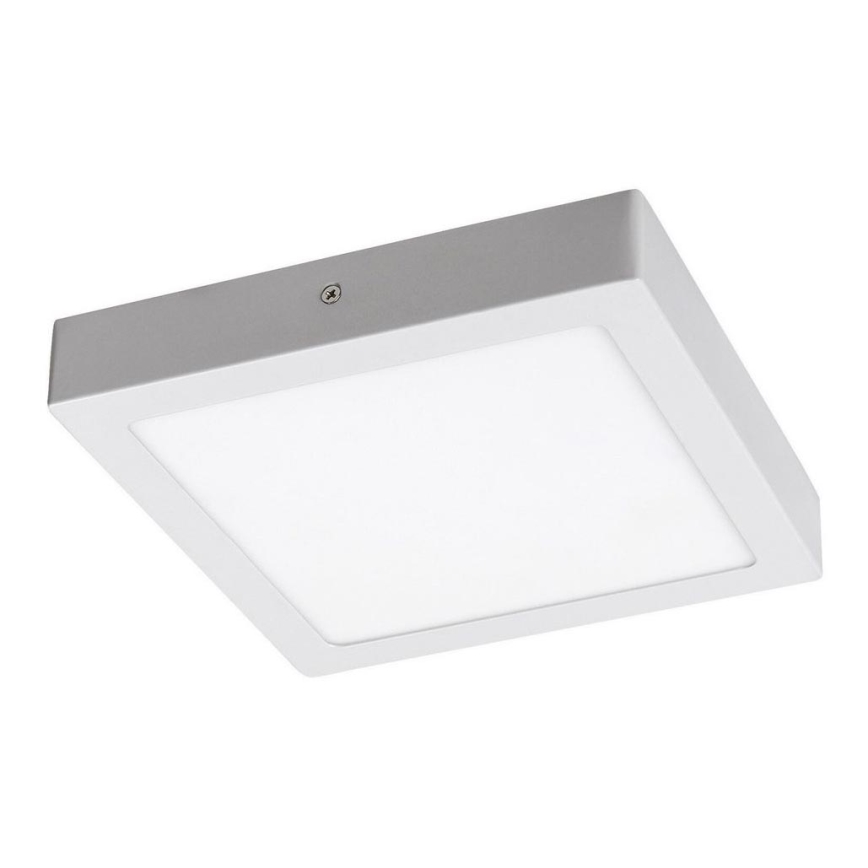 Rabalux - LED Stropní svítidlo LED/18W/230V