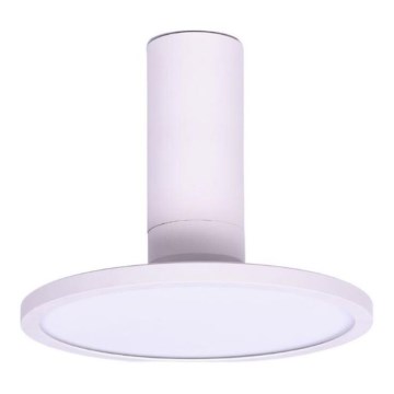 Rabalux - LED Stropní svítidlo LED/20W/230V 3000K bílá