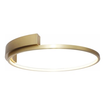 Rabalux - LED Stropní svítidlo LED/23W/230V