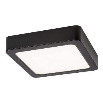 Rabalux - LED Stropní svítidlo LED/24W/230V 22x22 cm