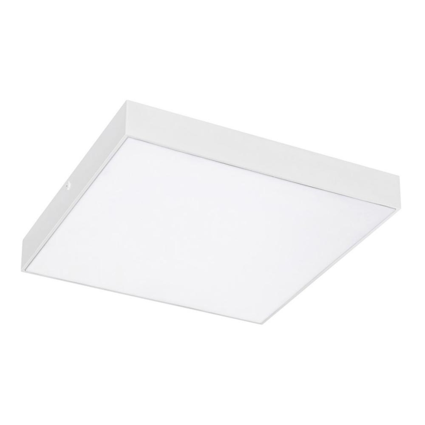 Rabalux - LED Stropní svítidlo LED/24W/230V 2800-6000K IP44 bílá 30x30 cm