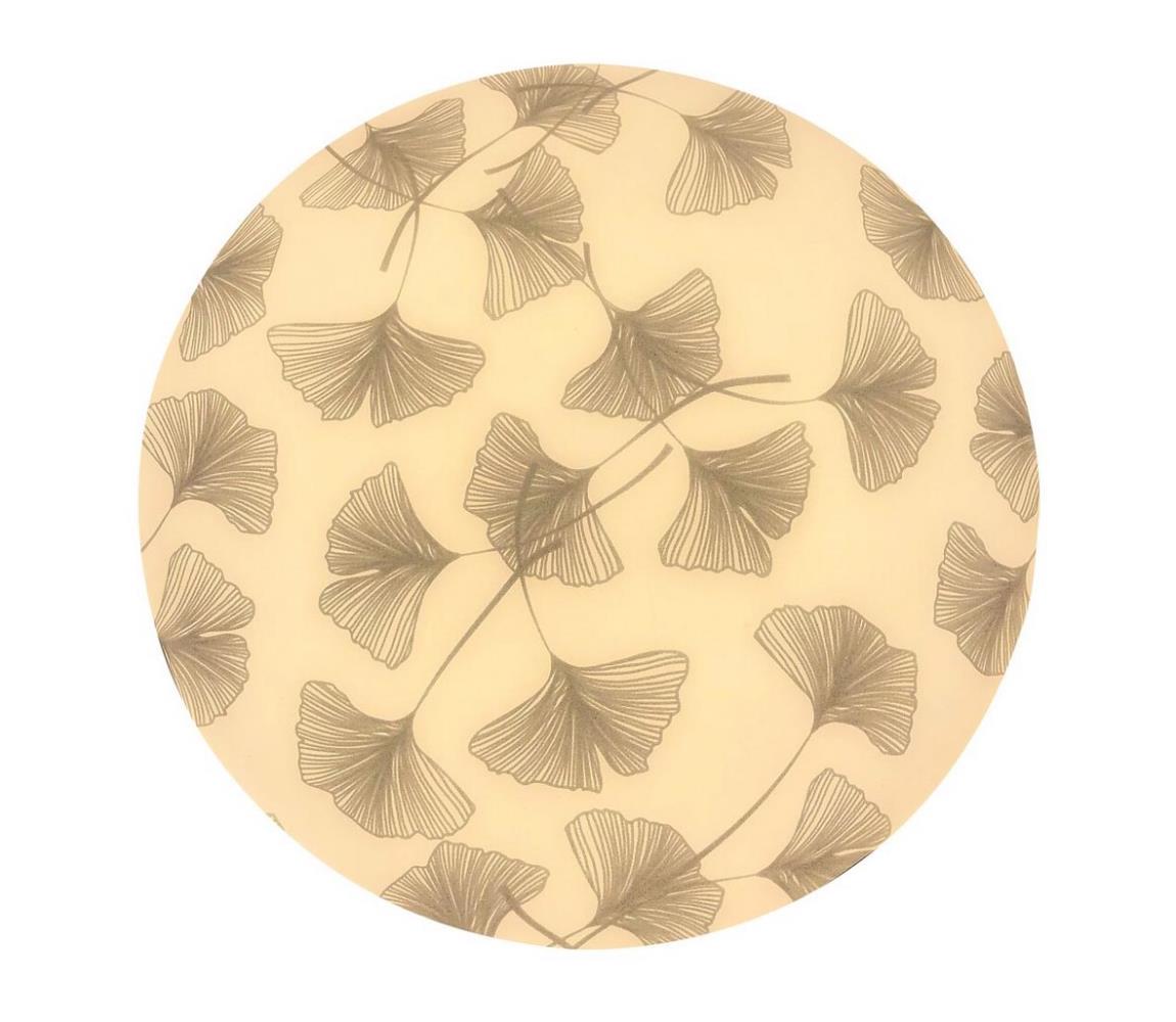Rabalux Rabalux - LED Stropní svítidlo LED/24W/230V 3000K RL3076