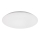 Rabalux - LED Stropní svítidlo LED/24W/230V 4000K pr. 38 cm