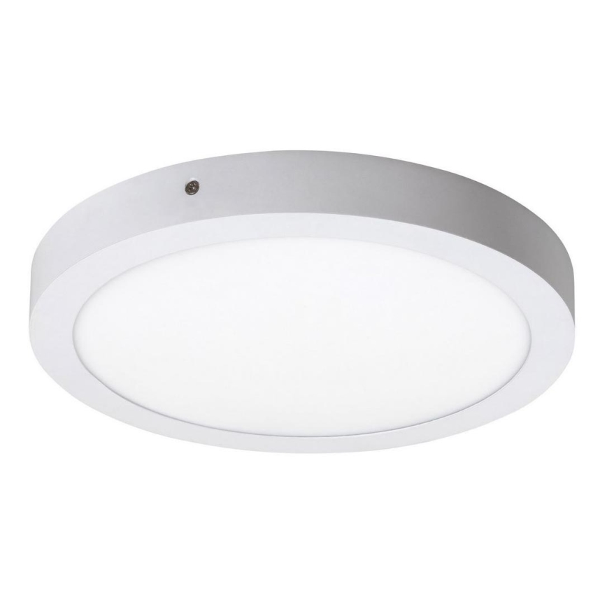 Rabalux - LED Stropní svítidlo LED/24W/230V