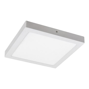 Rabalux - LED Stropní svítidlo LED/24W/230V