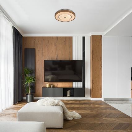 Rabalux - LED Stropní svítidlo LED/24W/230V pr. 39 cm