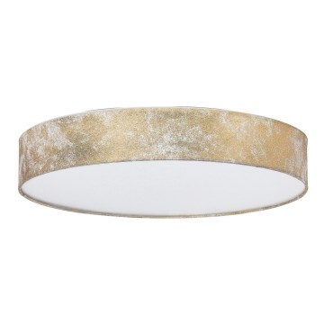 Rabalux - LED Stropní svítidlo LED/24W/230V pr. 40 cm