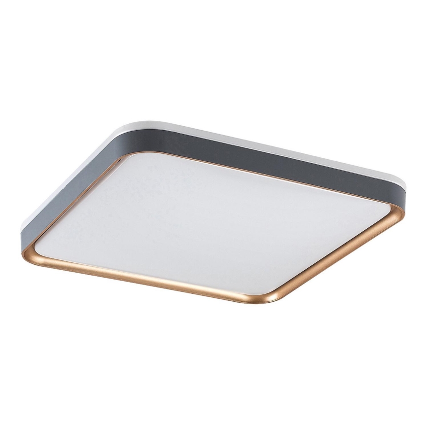 Rabalux - LED Stropní svítidlo LED/26W/230V 3000K 39,5x39,5 cm