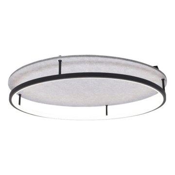 Rabalux - LED Stropní svítidlo LED/40W/230V 3000/4000K