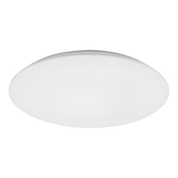 Rabalux - LED Stropní svítidlo LED/45W/230V 4000K pr. 48 cm