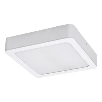 Rabalux - LED Stropní svítidlo LED/7W/230V 3000K 12x12 cm bílá