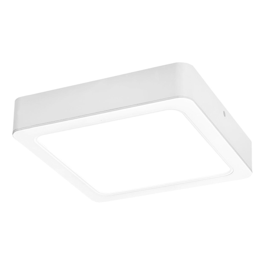 Rabalux - LED Stropní svítidlo LED/7W/230V 4000K 12x12 cm bílá