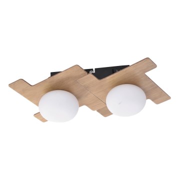 Rabalux - LED Stropní svítidlo NORWOOD 2xLED/3W/230V 21x36 cm