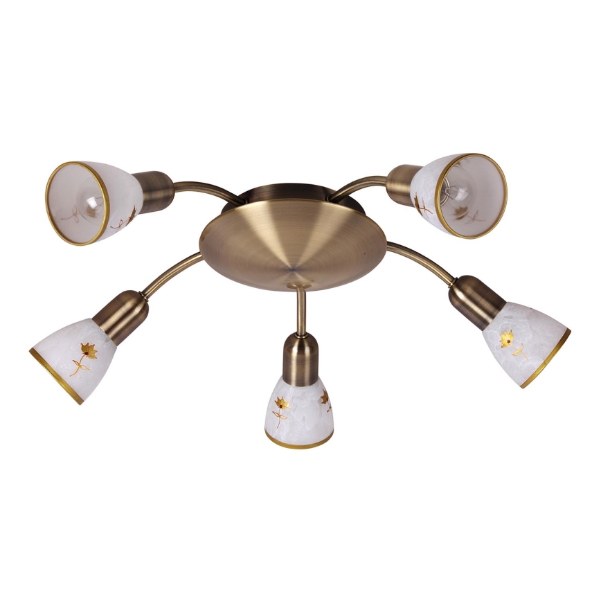 Rabalux - Stropní svítidlo 5xE14/40W/230V