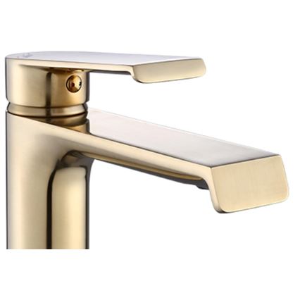 REA-B9971 - Umyvadlová baterie HASS 28 cm broušená zlatá