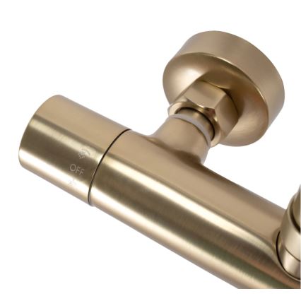 REA-P2323 - Sprchová sada s termostatickou baterií PAROT broušená zlatá