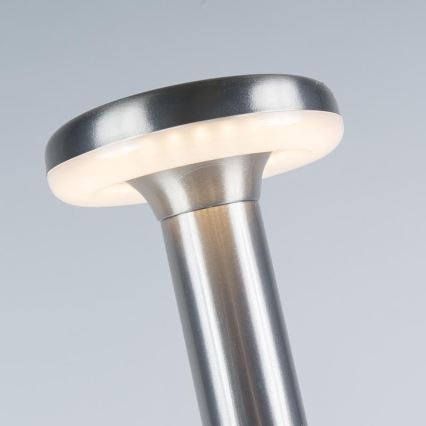 Reality - LED Venkovní lampa MANAUS LED/7W/230V IP44