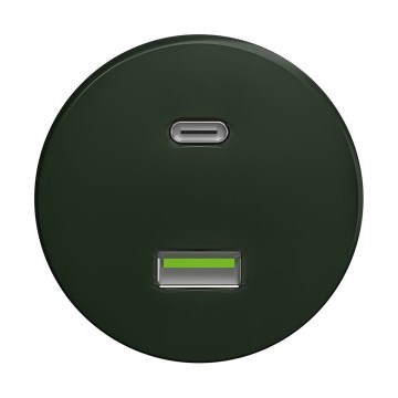 Reblig - Retro USB zásuvka A+C bez rámečku zelená