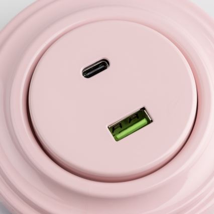 Reblig - Retro USB zásuvka A+C s rámečkem starorůžová