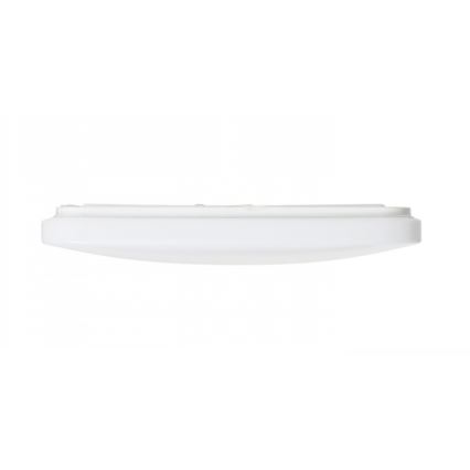 RED - Design Rendl - R12437 - LED Stropní svítidlo SEMPRE LED/36W/230V čtverec