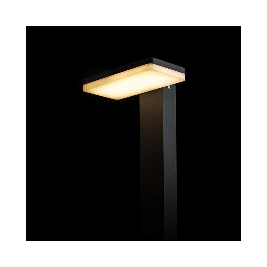 RED - Design Rendl - R12515 - LED Venkovní lampa RINA LED/12W/230V IP44