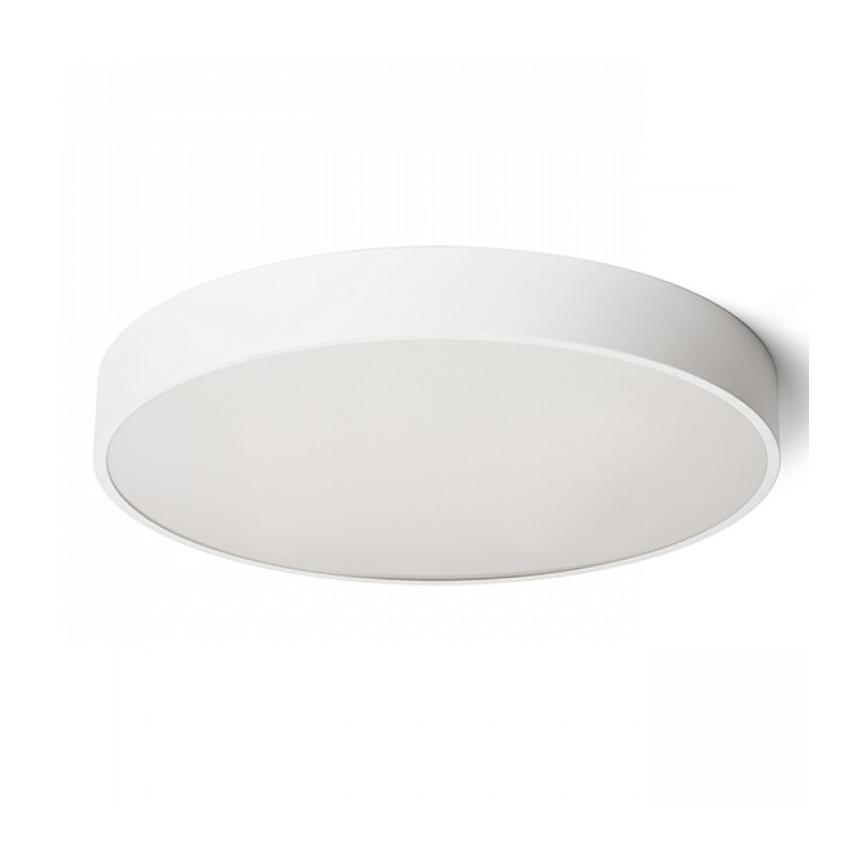 RED - Design Rendl - R13334 - LED Stropní svítidlo MEZZO LED/100W/230V bílá