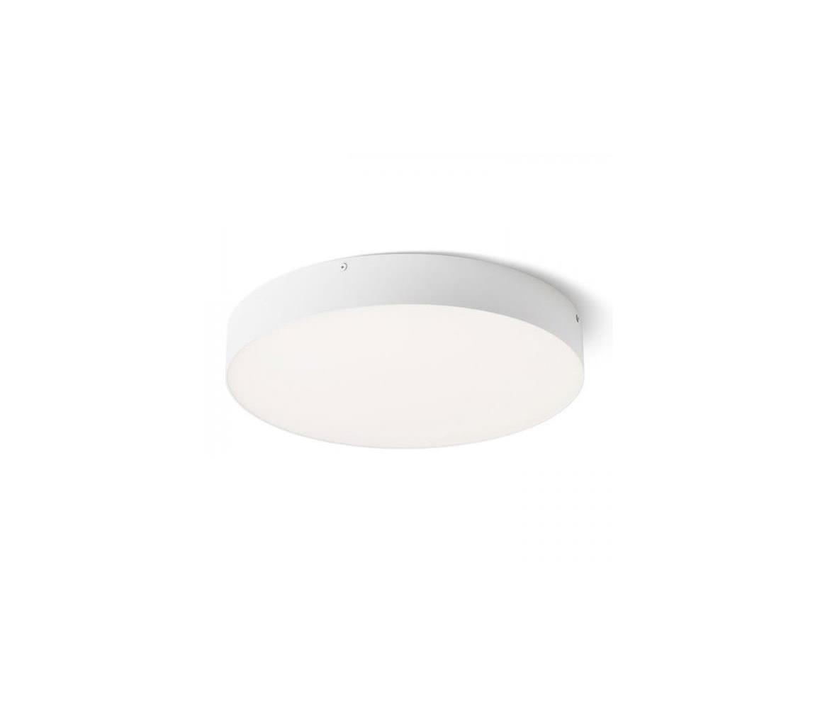 RED RED - Design Rendl - R13484 - LED Stropní svítidlo LARISA LED/50W/230V bílá W2452