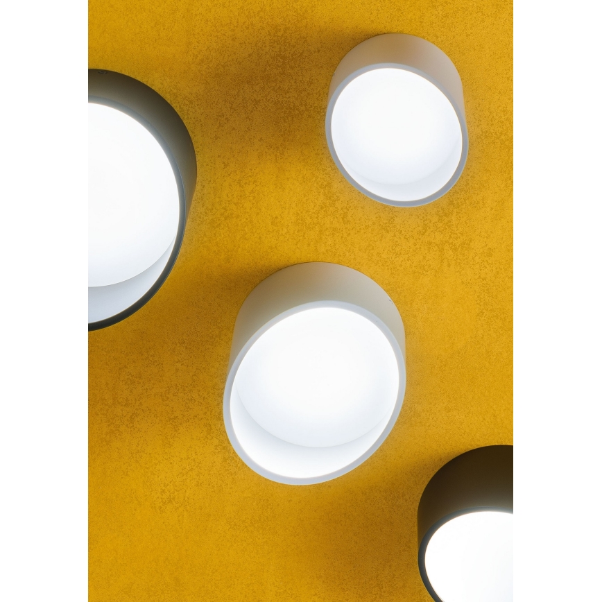 Redo 01-1627 - LED Bodové svítidlo UTO LED/12W/230V pr. 12 cm bílá