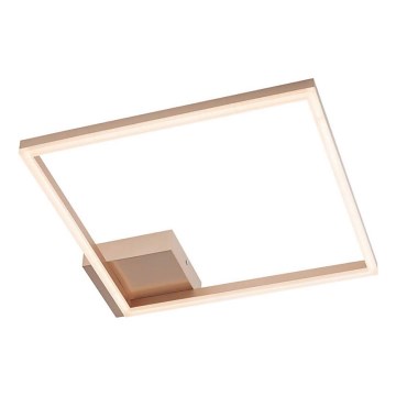 Redo 01-1639 - LED Stmívatelné stropní svítidlo KLEE LED/30W/230V 45x45 cm zlatá