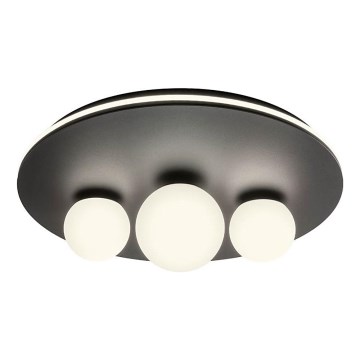 Redo 01-2466 - LED Stropní svítidlo CORUM LED/48W/230V 3000K CRI 90 černá