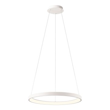 Redo 01-2672 - LED Stmívatelný lustr na lanku ICONIC LED/50W/230V pr. 58 cm bílá