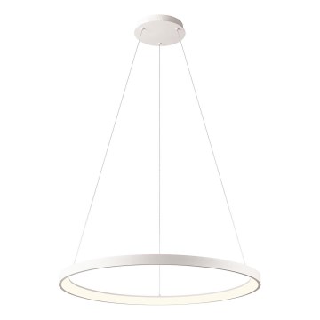 Redo 01-2675 - LED Stmívatelný lustr na lanku ICONIC LED/60W/230V pr. 78 cm bílá
