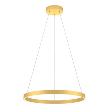 Redo 01-2865 - LED Stmívatelný lustr na lanku FEBE LED/37W/230V zlatá
