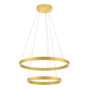 Redo 01-2889 - LED Stmívatelný lustr na lanku FEBE LED/62W/230V zlatá
