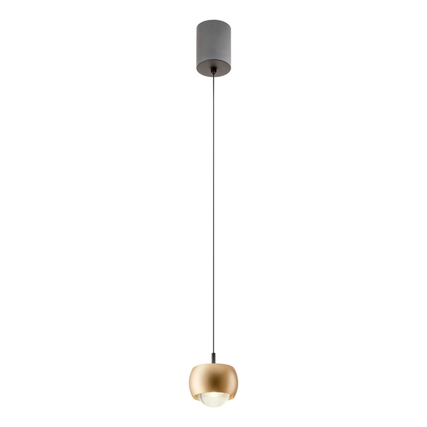 Redo 01-3547 - LED Lustr na lanku AVES LED/12W/230V pr. 9,6 cm CRI 90 zlatá