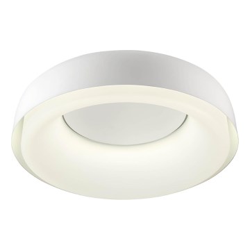 Redo 01-3940 - LED Stropní svítidlo DIP LED/30W/230V 2700/3000/4000/5000/6500K CRI 90 pr. 48,6 cm bílá
