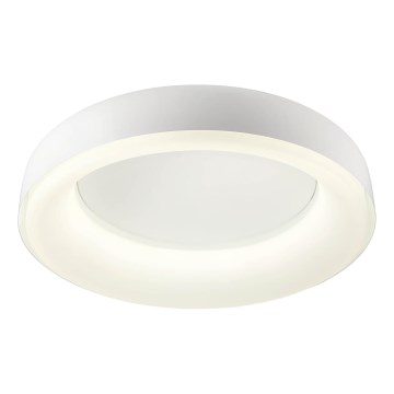 Redo 01-3941 - LED Stropní svítidlo DIP LED/40W/230V 2700/3000/4000/5000/6500K CRI 90 pr. 62,4 cm bílá