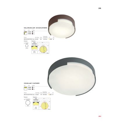 Redo 90003 - LED Venkovní stropní svítidlo SKOR LED/12W/230V IP54