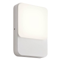 Redo 90128 - LED Venkovní nástěnné svítidlo COLIN LED/9W/230V 4000K IP54 bílá