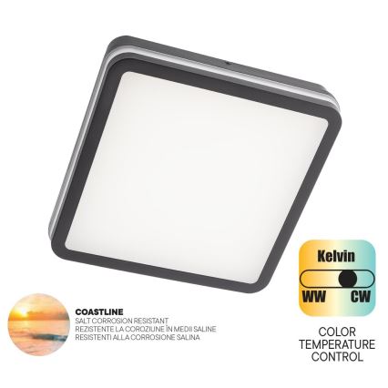 Redo 90288 - LED Venkovní stropní svítidlo ISOLA LED/24W/230V 26x26 cm 3000/4000/6500K IP54 antracit