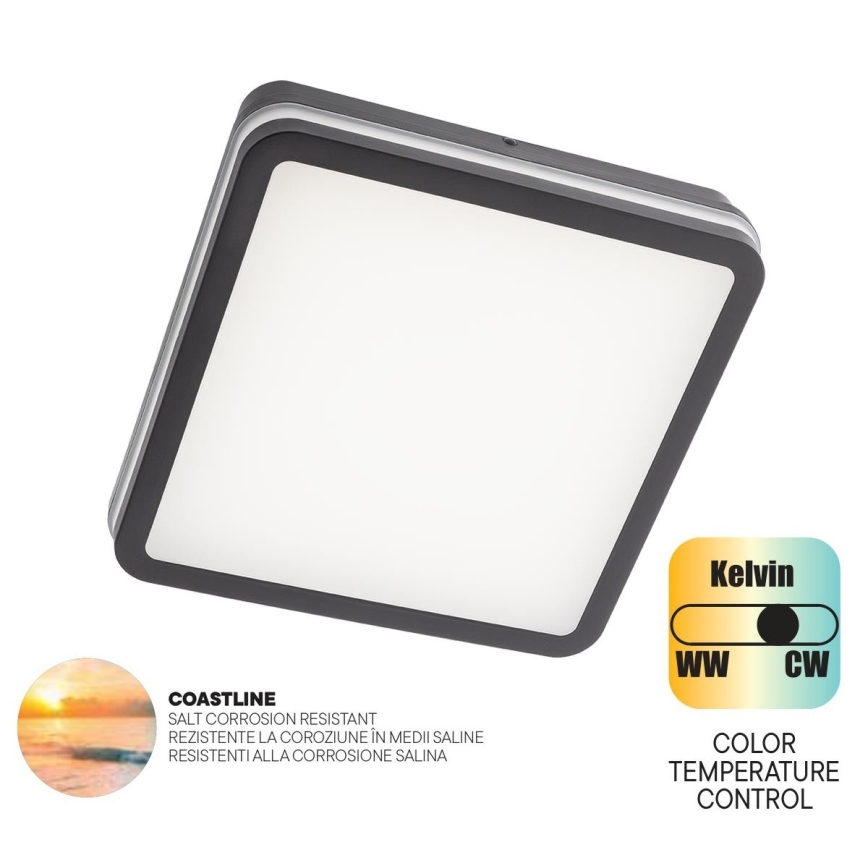Redo 90288 - LED Venkovní stropní svítidlo ISOLA LED/24W/230V 26x26 cm 3000/4000/6500K IP54 antracit
