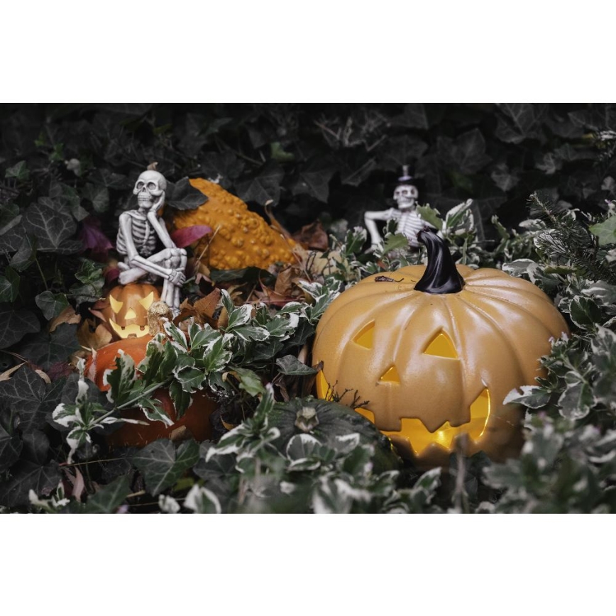 LED Dekorace HALLOWEEN LED/2xLR44/teplá bílá kostlivec v dýni pryskyřice
